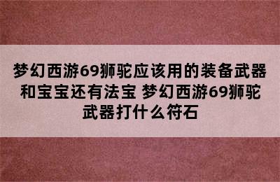 梦幻西游69狮驼应该用的装备武器和宝宝还有法宝 梦幻西游69狮驼武器打什么符石